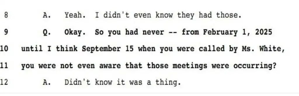 Shannon Davidson admitting he didn't know about the illegal planning commission meetings